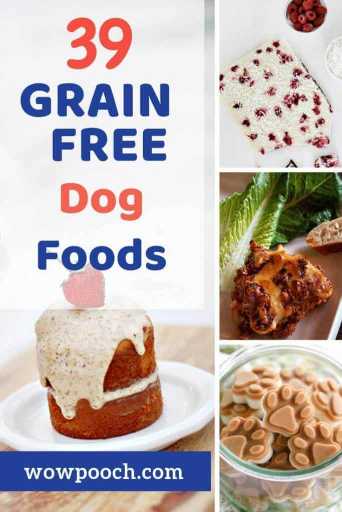 Easy Grain Free Food Recipes For Dogs