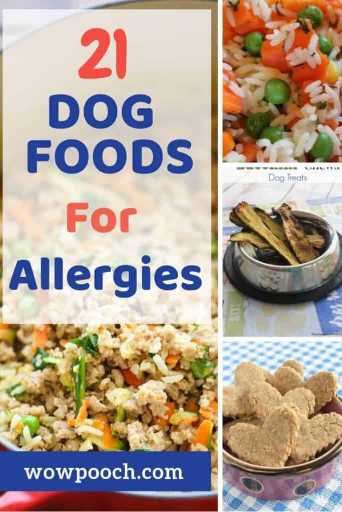 21 Dog Food Recipes For Allergies - WowPooch