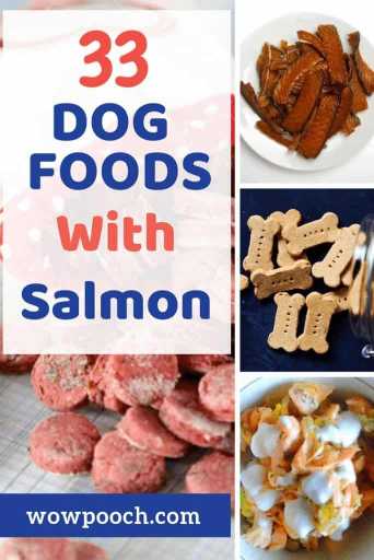 33 Dog Food Recipes With Salmon