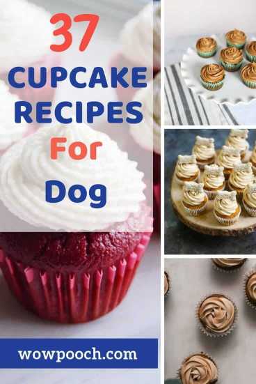 Cupcake Recipes For Dogs