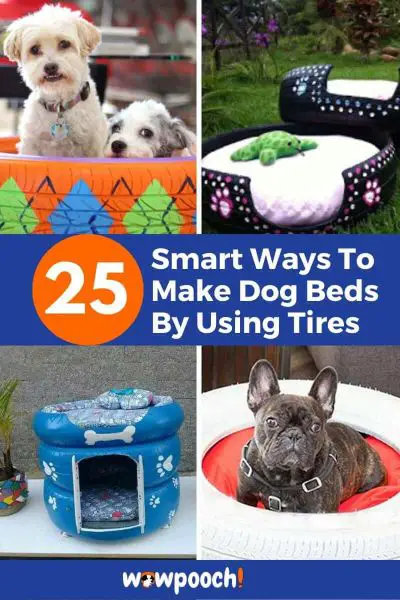 25 DIY Dog Beds Ideas Using Tires