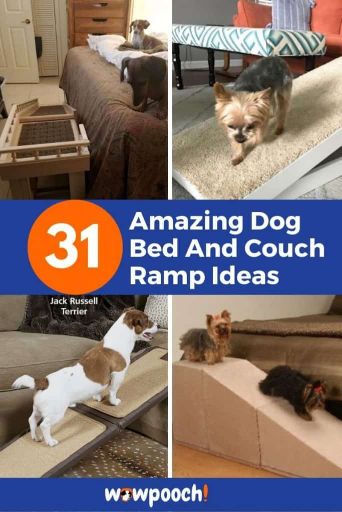 31 Dog Bed And Couch Ramp Ideas