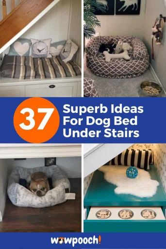 Dog Bed Ideas Under Stairs