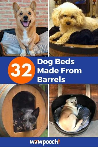 32 Dog Beds From Barrels