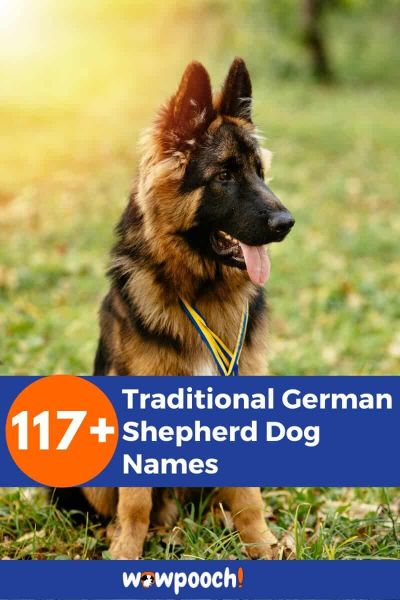 117+ Traditional German Shepherd Dog Names - WowPooch